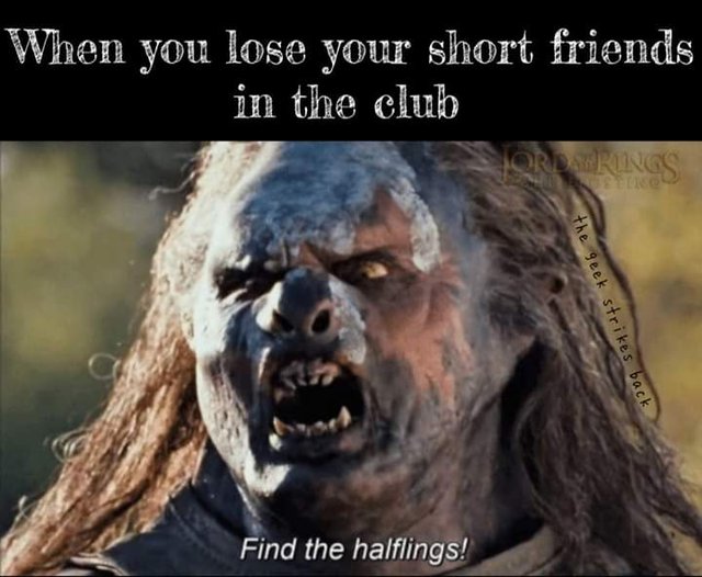 cow9kozj.jpg