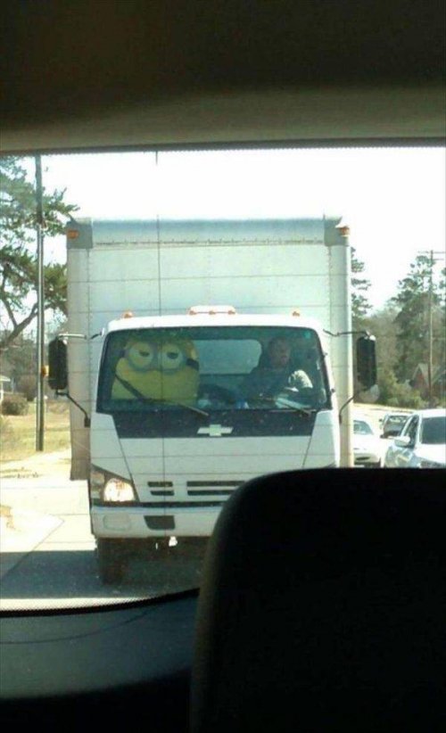 jmr7ltn6.jpg