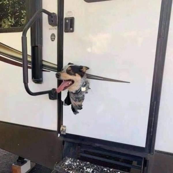 lnzaqmrt.jpg