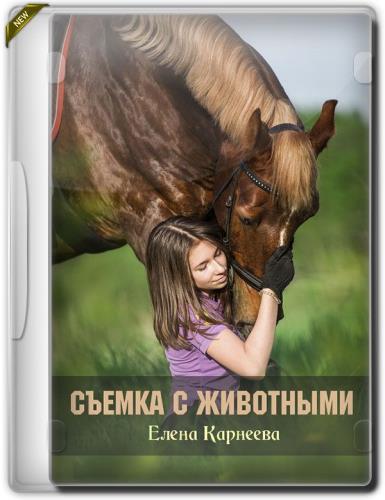 Съемка с животными (2019)