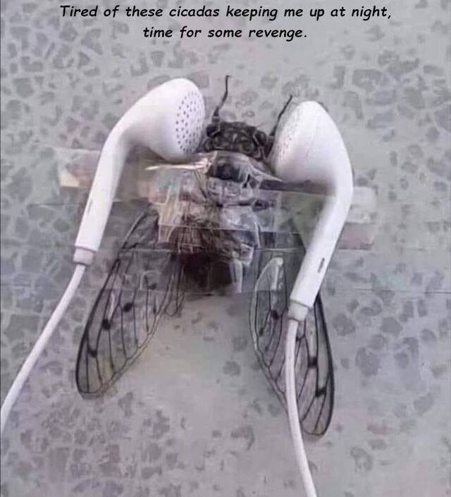 oibha2b2.jpg