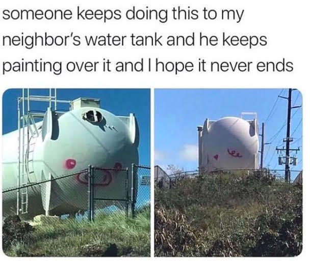 ysnfgknw.jpg