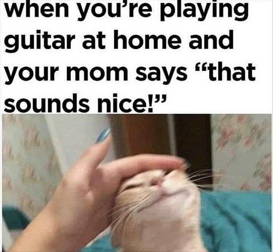 mmjz4lhq.jpg
