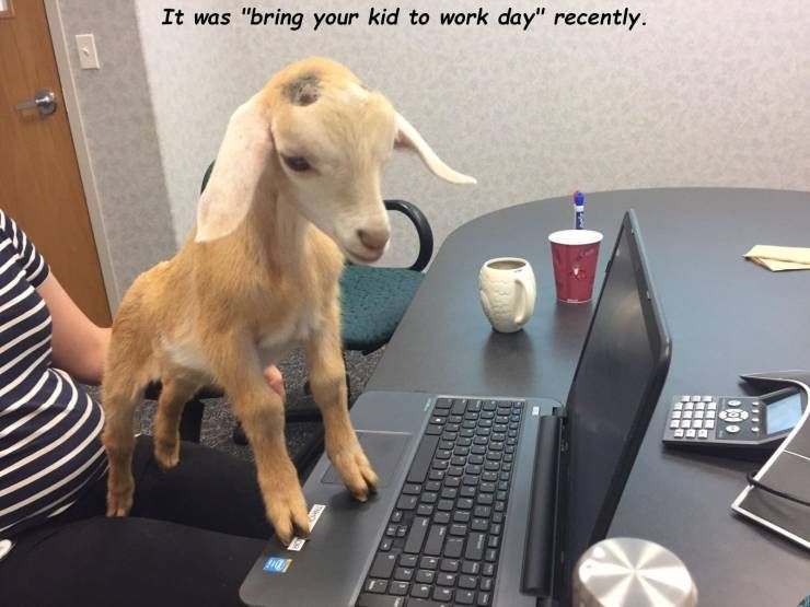 5qxcqj33.jpg