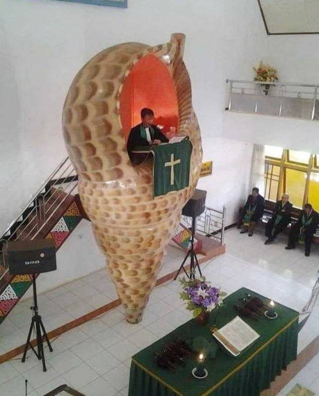 avtnwqom.jpg