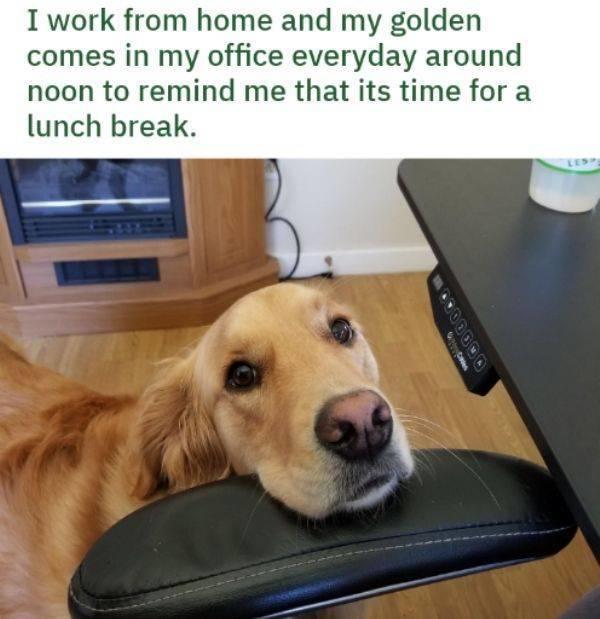 jg3y8cxd.jpg