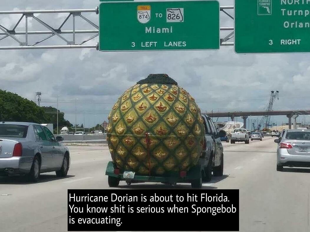 q78aeezg.jpg