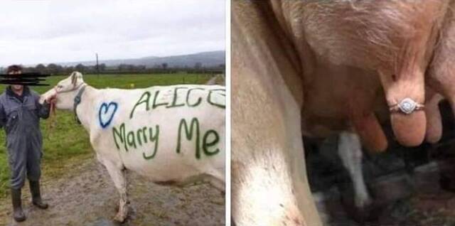 qgq9zcpl.jpg