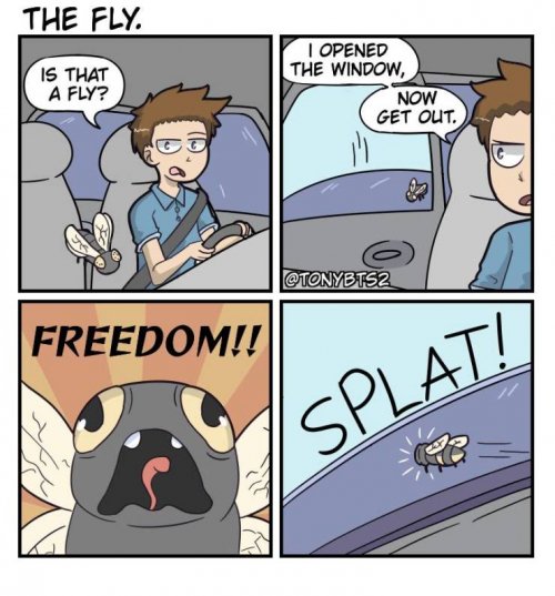qxsftrzs.jpg