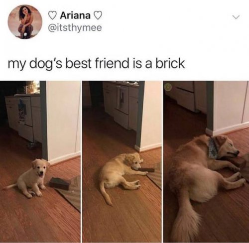 xs4ysaq2.jpg