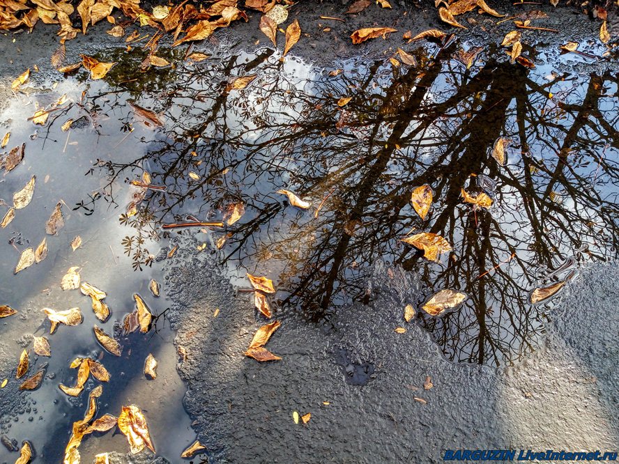 Отражение Осени В Воде Фото