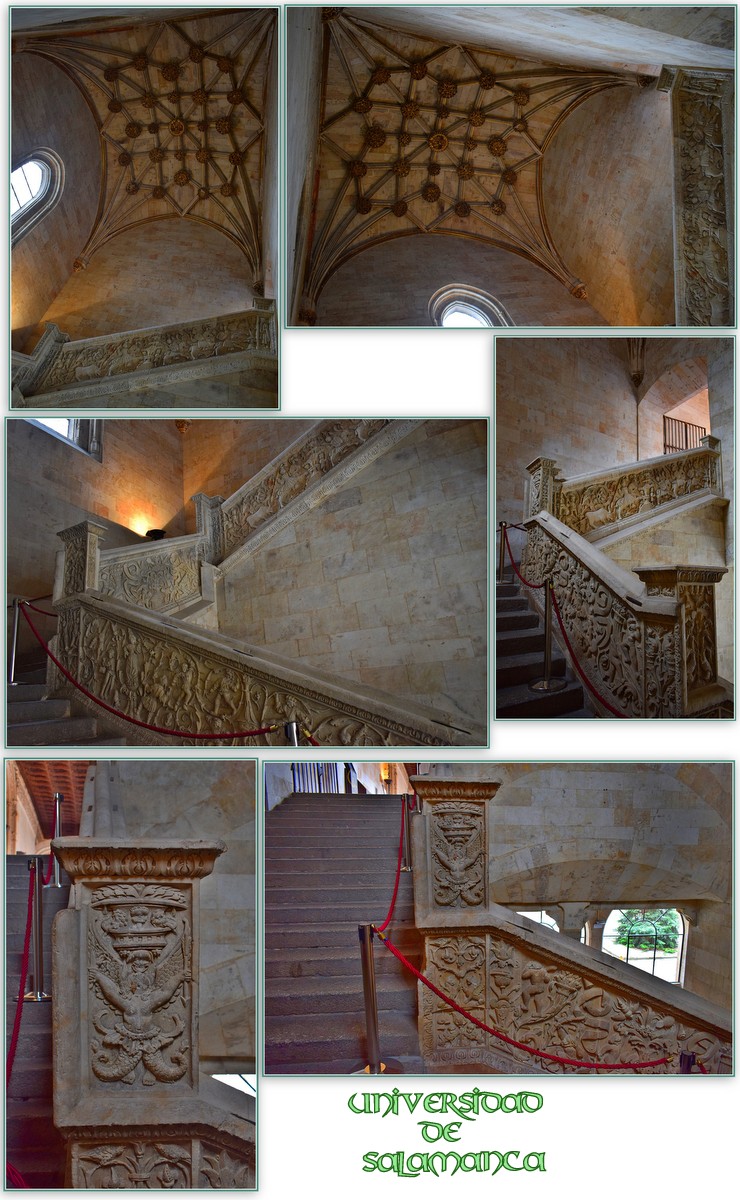 https://s17.directupload.net/images/user/190322/lhbooa3h.jpg